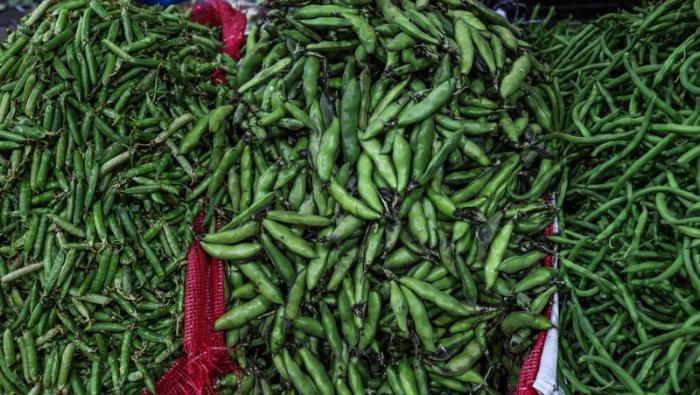 Hoy ofertas en vainita, haba, frijol, arveja, sandía, manzana, palta y otros, en mercados mayoristas