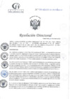 Vista preliminar de documento RD N°340-10-2024-DE-HCLLH-MINSA