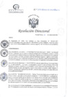 Vista preliminar de documento RD N°339-10-2024-DE-HCLLH-MINSA