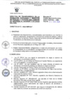 Vista preliminar de documento DIRECTIVA NRO 009-2024-FMP-DAF