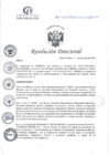 Vista preliminar de documento RD N°322-10-2024-DE-HCLLH-MINSA