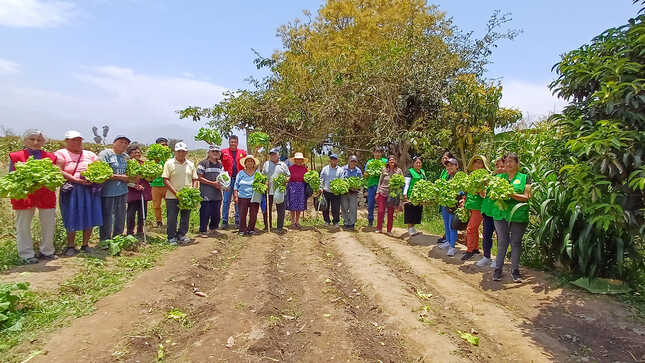 Foto grupal 