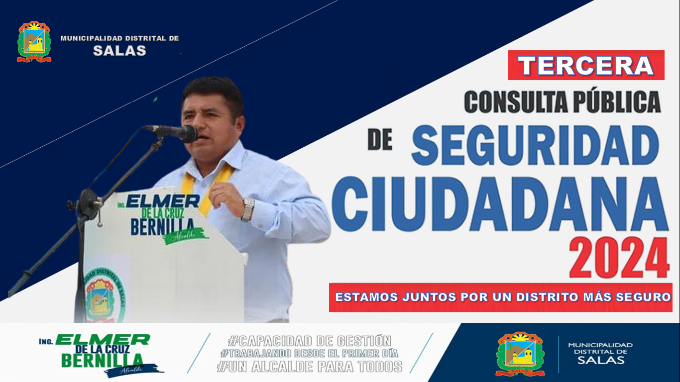 Tercera Consulta Pública de Seguridad Ciudadana 2024