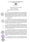 Vista preliminar de documento RA N 238 - Establecer Helipuntos