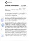 Vista preliminar de documento RA_1133_2024_11-10-2024