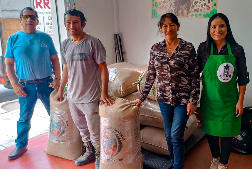 Café de Santa Ana - Quillabamba, logra clasificar por primera vez a la etapa internacional de taza de excelencia Perú 2024