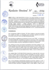 Vista preliminar de documento RD_300_2024_11-10-2024