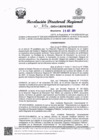 Vista preliminar de documento RDR N° 3770-2024