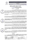 Vista preliminar de documento 02388-2023-DIRESA-OGES-AM/D