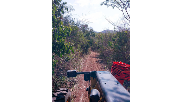 Seguimos trabajando con los mantenimientos en la ciudad de Tarapoto.
