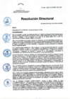 Vista preliminar de documento RD Nº 240-2024-DGINSM-HD-HN