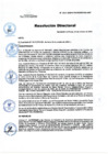 Vista preliminar de documento RD Nº 243-2024-DGINSM-HD-HN