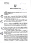 Vista preliminar de documento R.D. N°273-2024-DG-HNHU 