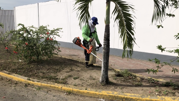 MPSM realiza jornada de desmalezado, limpieza y arborizaci贸n en la Av. Aviaci贸n.