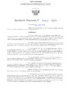 Vista preliminar de documento RD N° 587