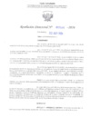Vista preliminar de documento RD N° 588