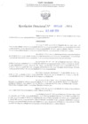 Vista preliminar de documento RD N° 589