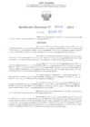 Vista preliminar de documento RD N° 591 