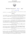 Vista preliminar de documento RD N° 593