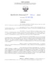 Vista preliminar de documento RD N° 594