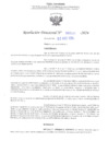 Vista preliminar de documento RD N° 597