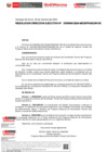 Vista preliminar de documento RESOLUCION DIRECCION EJECUTIVA-000645-2024-DE