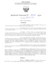 Vista preliminar de documento RD N° 599