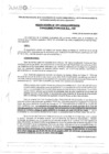 Vista preliminar de documento RESOLUCION N° 001-2024-COMISION CONCURSO PUBLICO D.L 728