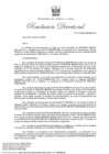 Vista preliminar de documento RD-211