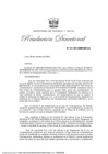 Vista preliminar de documento RD 212
