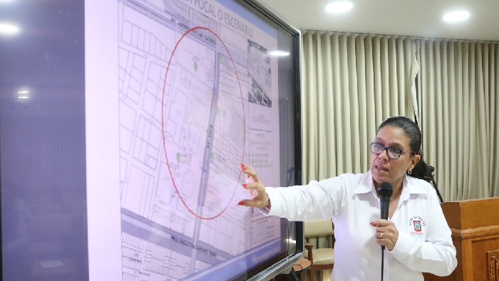 Subgerencia de Gestión del Riesgo de Desastres