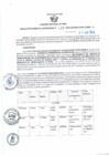 Vista preliminar de documento RGSR 133-2024