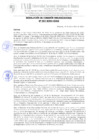 Vista preliminar de documento 359. RESOLUCIÓN DE COMISIÓN ORGANIZADORA N° 359-2024-UNAH