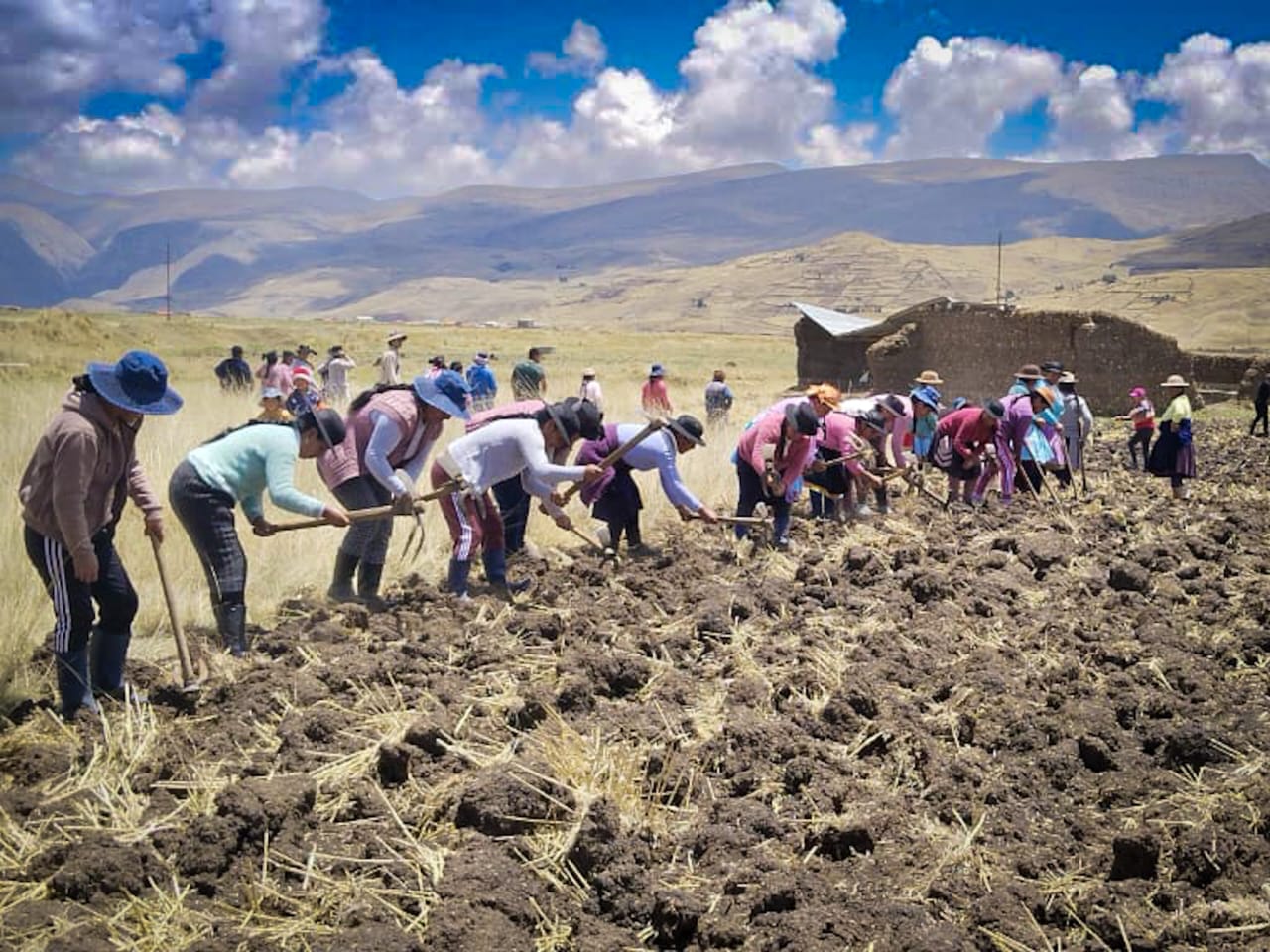 AGRO RURAL