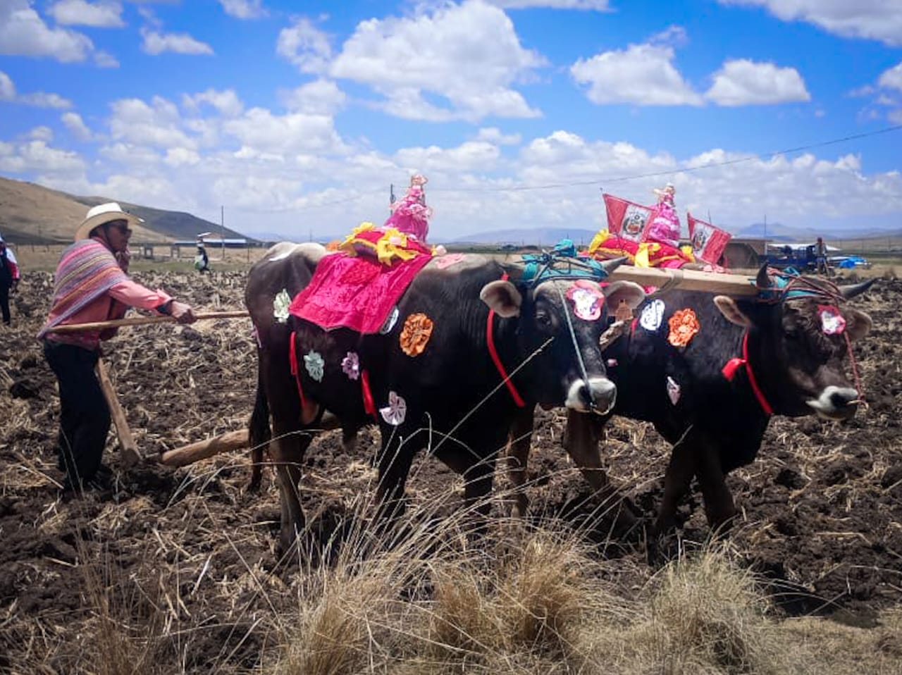 AGRO RURAL
