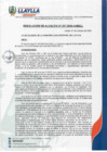 Vista preliminar de documento RA-217-2024