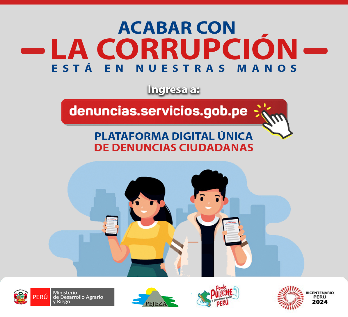 Archivo PDF del portal web para denuncias de la ciudadanía