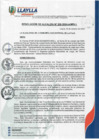 Vista preliminar de documento RA-208-2024
