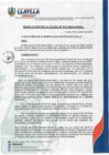 Vista preliminar de documento RA-210-2024