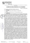 Vista preliminar de documento ACM24N221