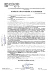 Vista preliminar de documento ACM24N223