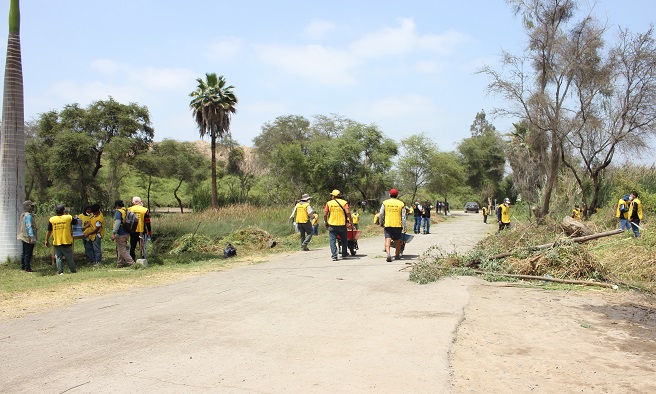 JORNADA DE LIMPIEZA INPE EN HUACA RAJADA SIPÁN