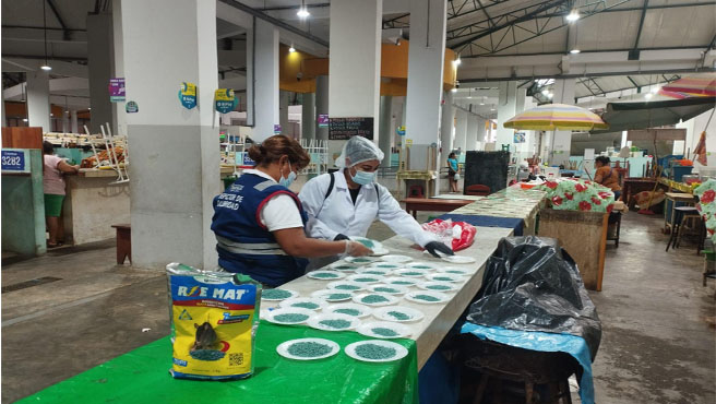 MERCADO MODELO