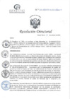 Vista preliminar de documento RD N°335-10-2024-DE-HCLLH-MINSA
