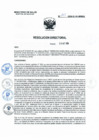 Vista preliminar de documento RD 175-2024-COMISION DE CONCURSO INTERNO DE MERITOS PARA ASCENSO DEL HH