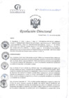 Vista preliminar de documento RD N°341-10-2024-DE-HCLLH-MINSA