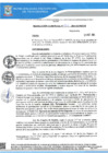 Vista preliminar de documento RG 957 QR