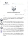 Vista preliminar de documento RD N°345-10-2024-DE-HCLLH-MINSA
