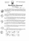 Vista preliminar de documento RD N° 272-2024-DG-UPER/HNHU