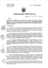 Vista preliminar de documento R.D. 271-2024-DG-HNHU